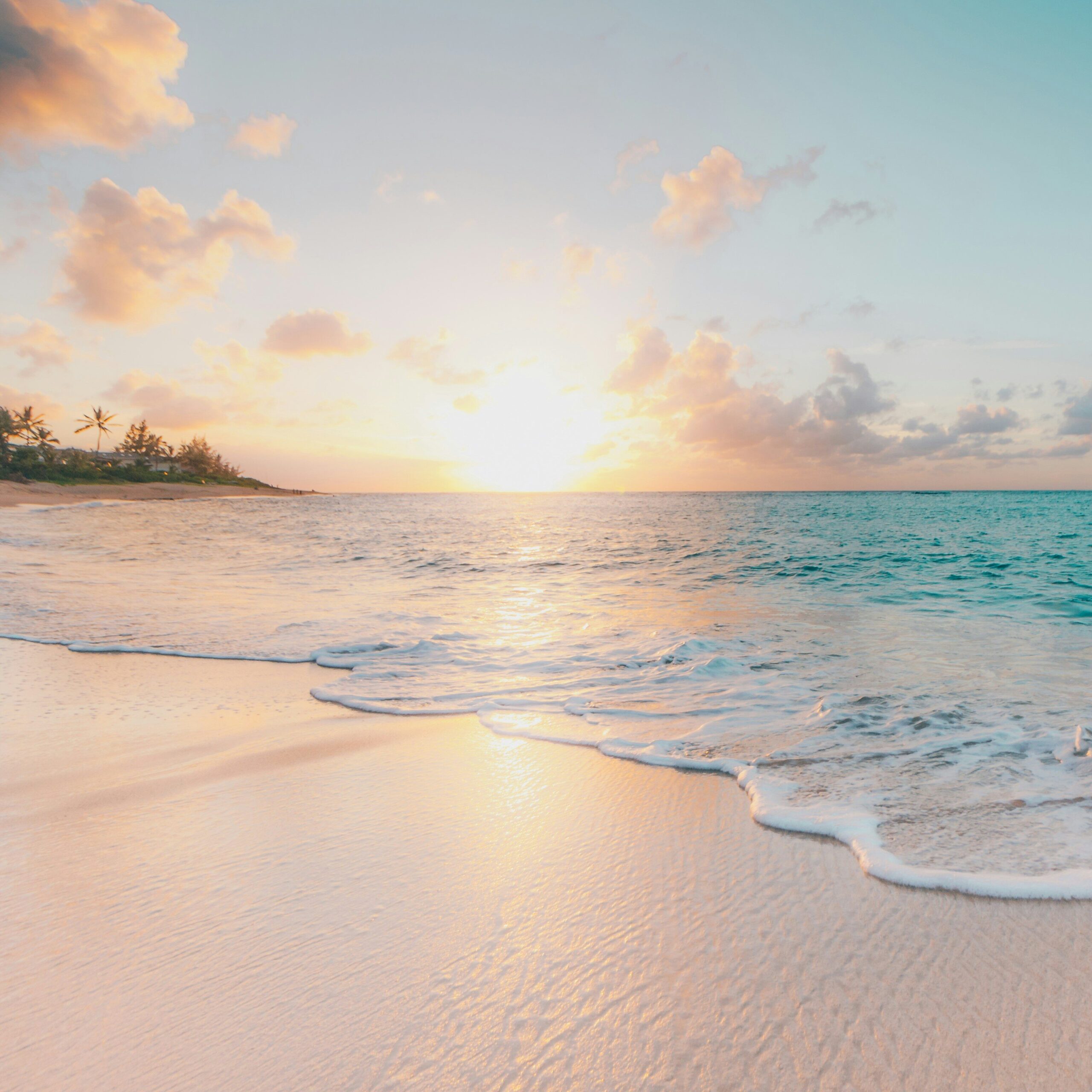 About home header